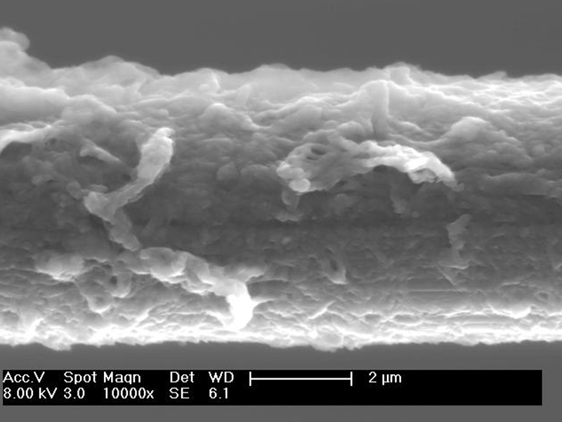 SEM Inspection On Fiber Surface1